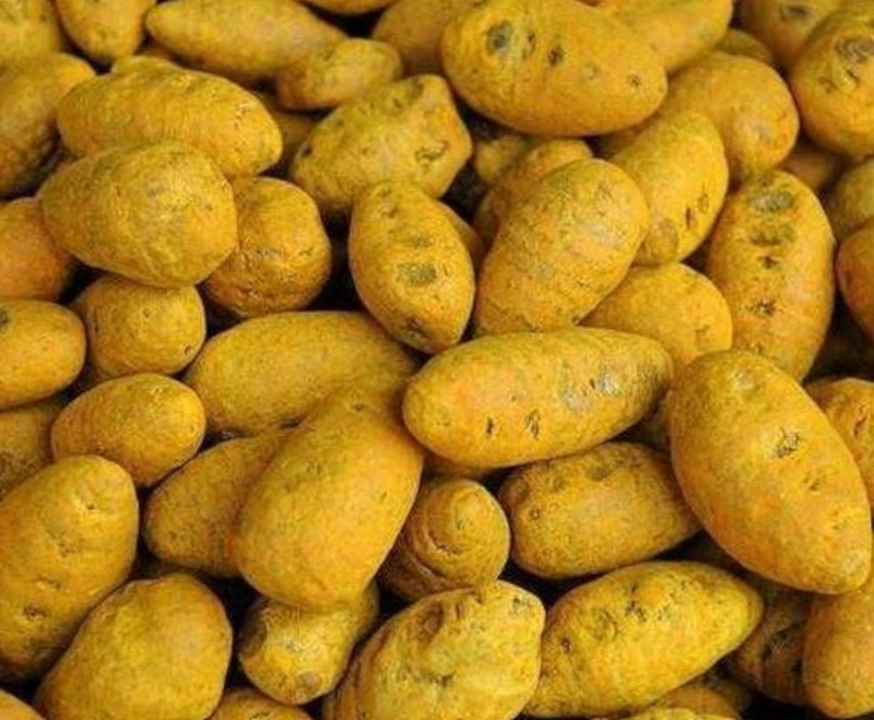 Turmeric Thick Sticks (పసుపు దుంపలు)